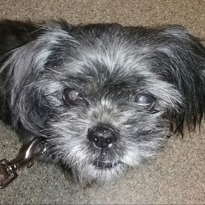 Meet your Posher, Gina